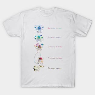 Trachea Transverse Section T-Shirt